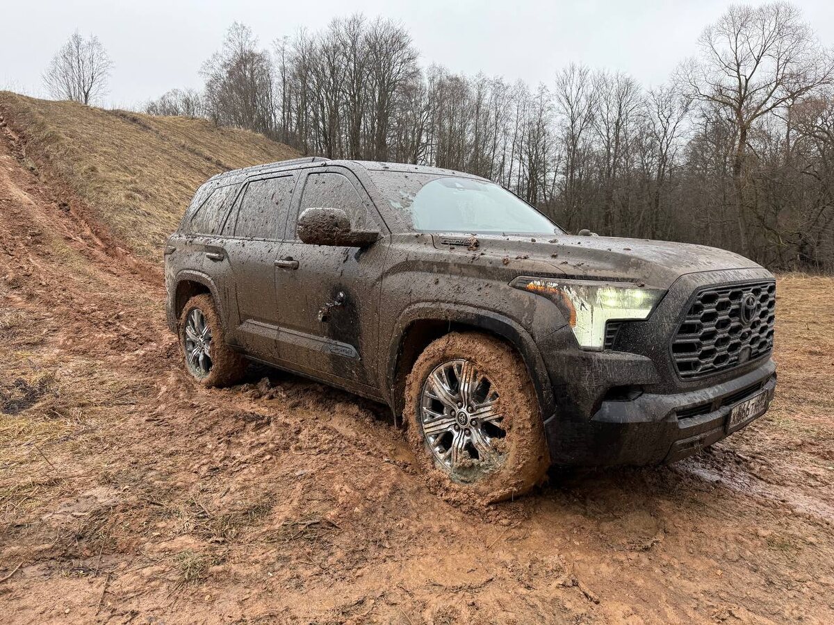 Вот такой Sequoia вернулась после съемок