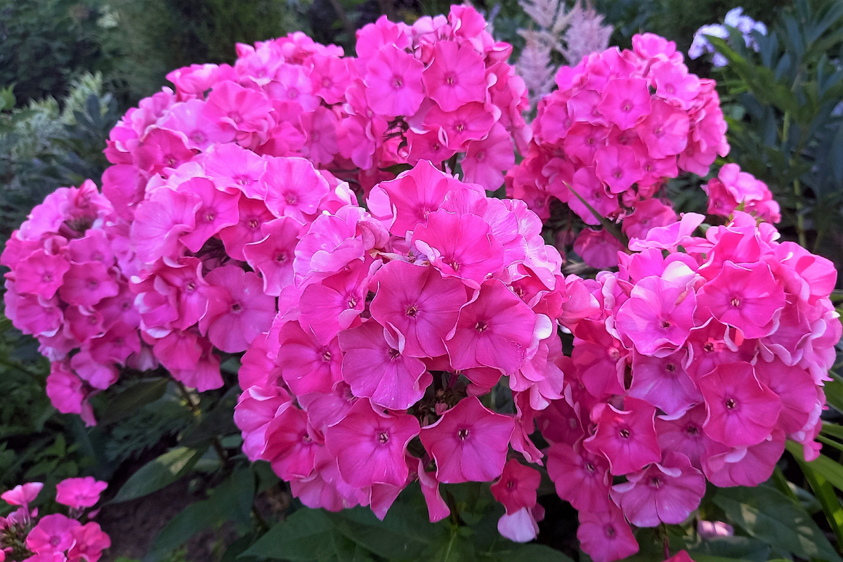 Zhiul Sando. Предположительно