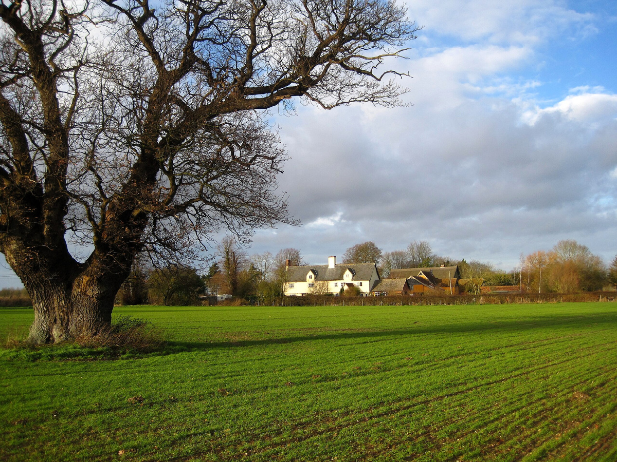 Поля в окрестностях деревни Хоксне, графство Саффолк, Великобритания