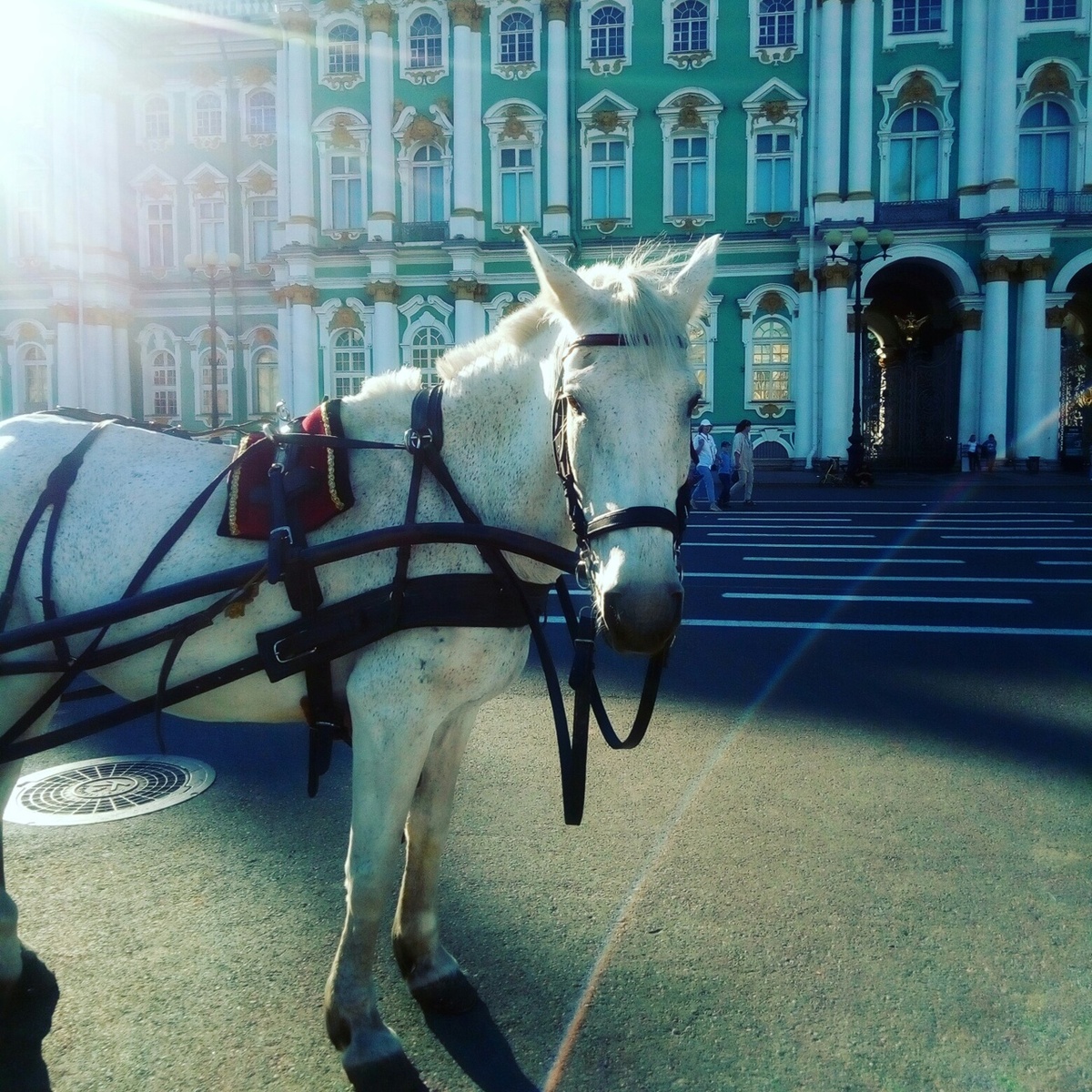 Рабочий полдень на Дворцовой. Фото автора