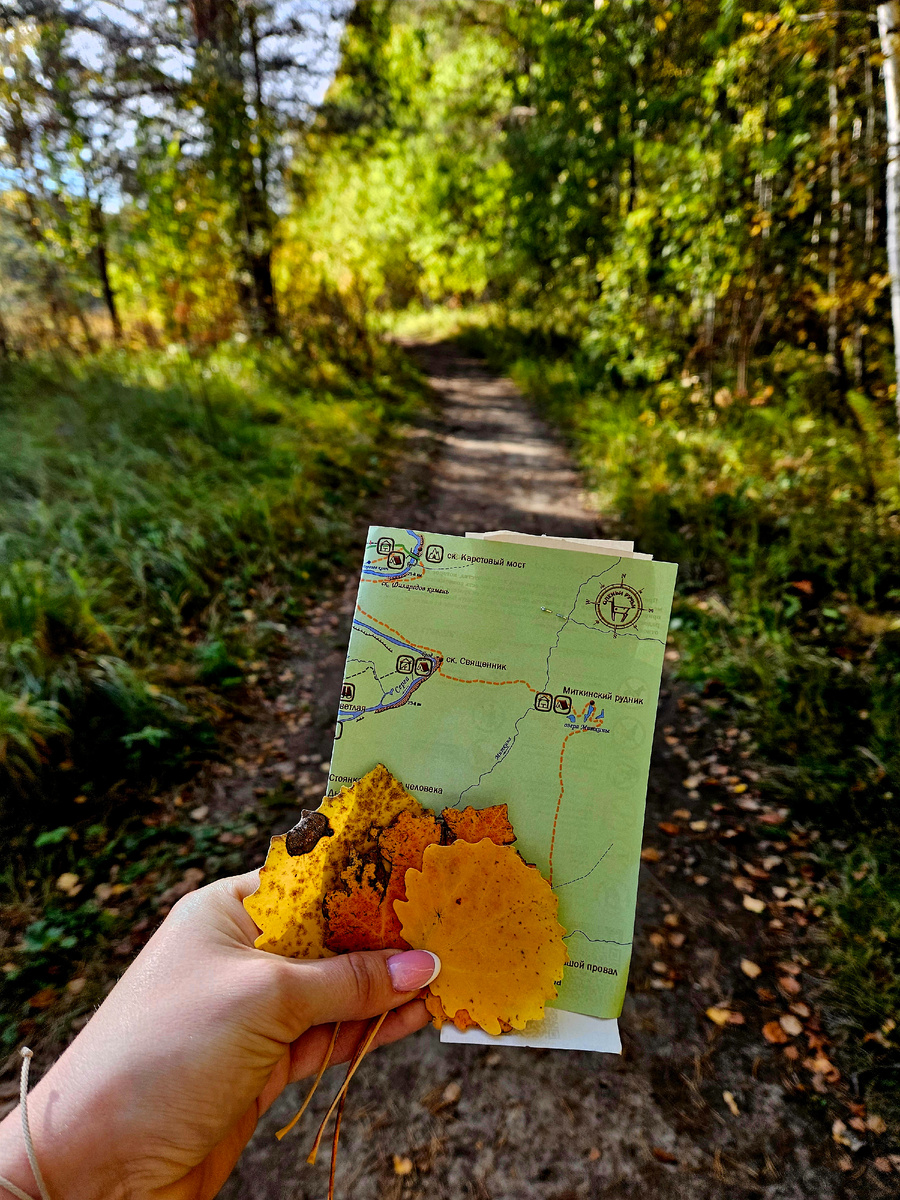 Начало пути:)