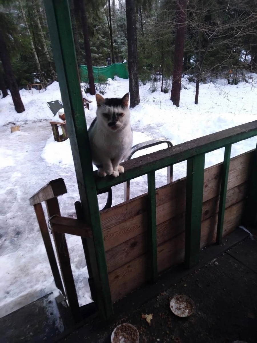 Фото автора