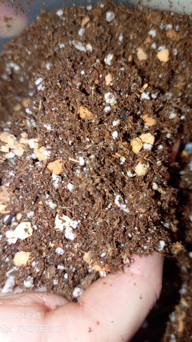 Ммм, а как он пахнет вкусно 😉, лесом!!