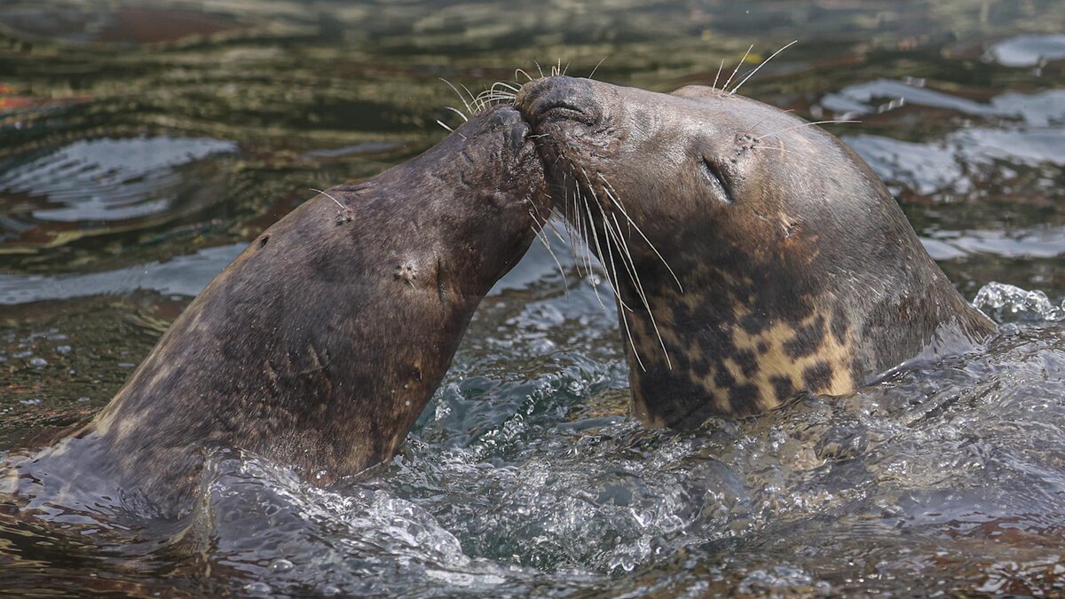    Фото: Bulkin Sergey/news.ru