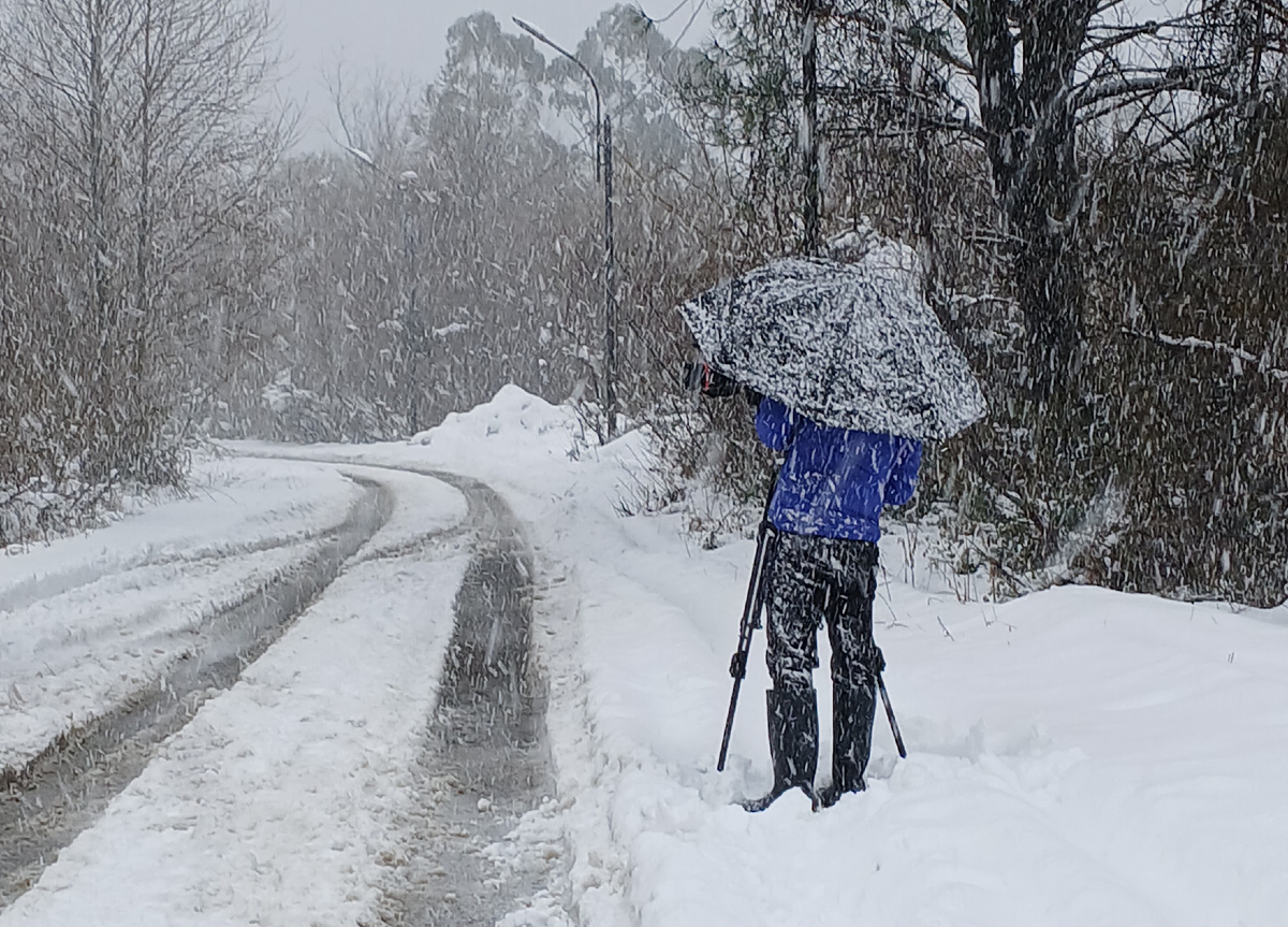 Оператор приехал снимать видео для местных новостей. Грузия 