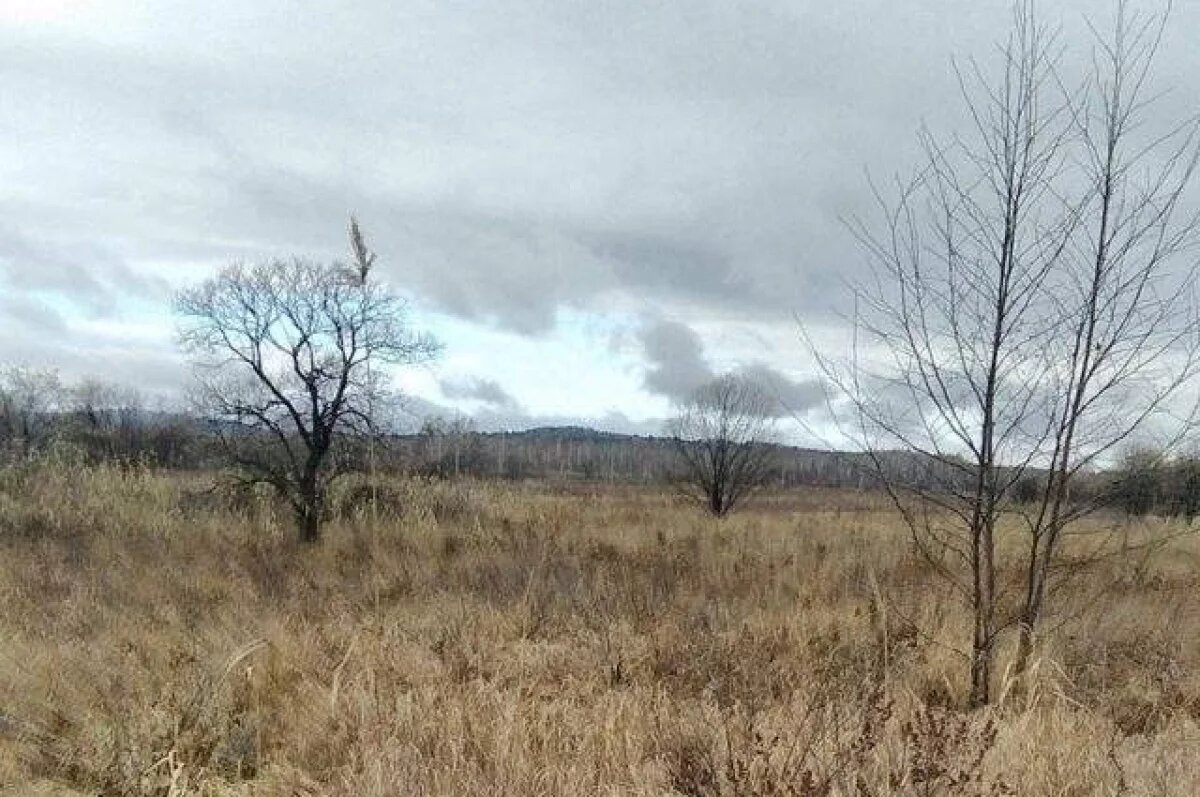    Тверского землевладельца оштрафовали на 10 тысяч за заросший участок