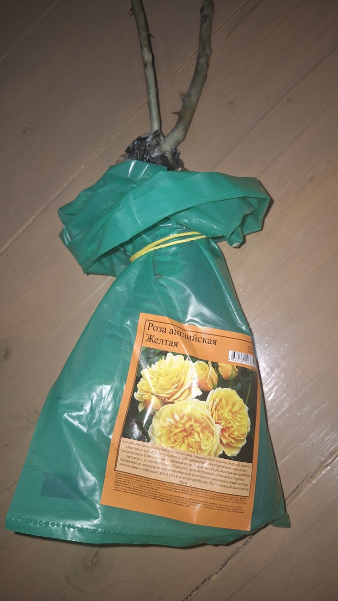 Фото автора.