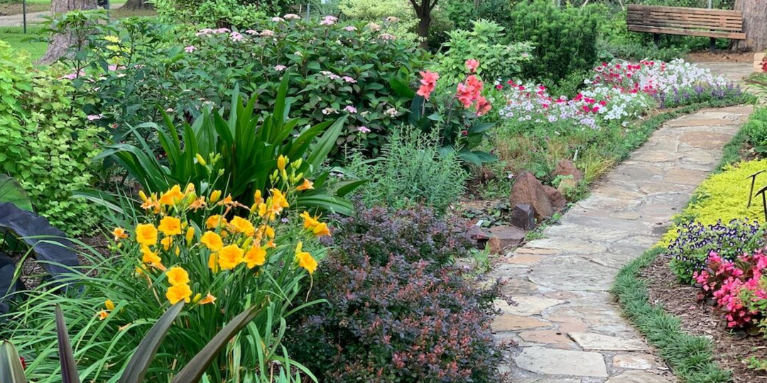 Как я превратил каменистую землю в плодородный огород: опыт и секреты преображения участка