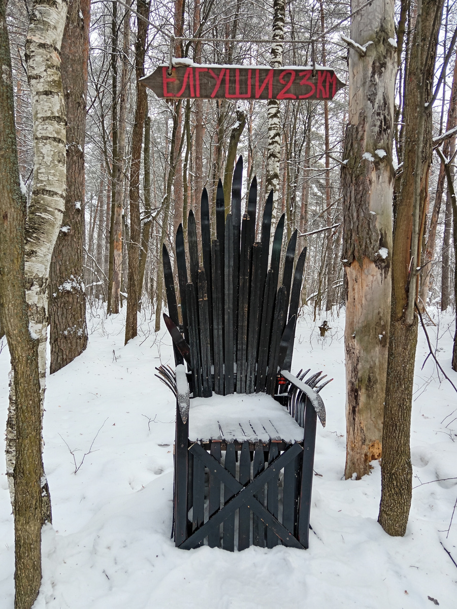 Лыжный трон на 23-ем километре Лыжни Политехников. Январь 2025. Фото автора. 