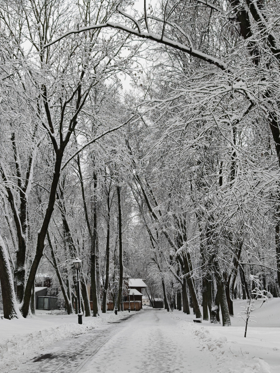 Зима-холода