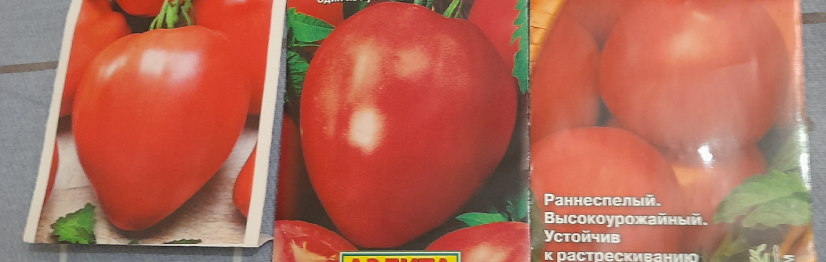 Фото автора канала