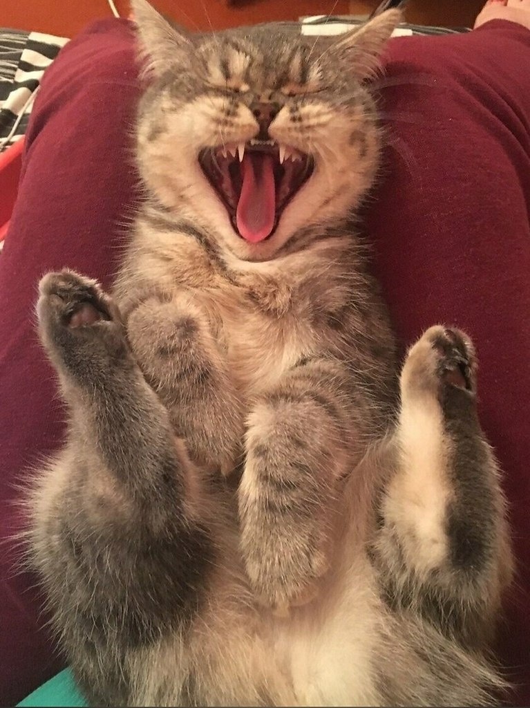 фото из сети интернет