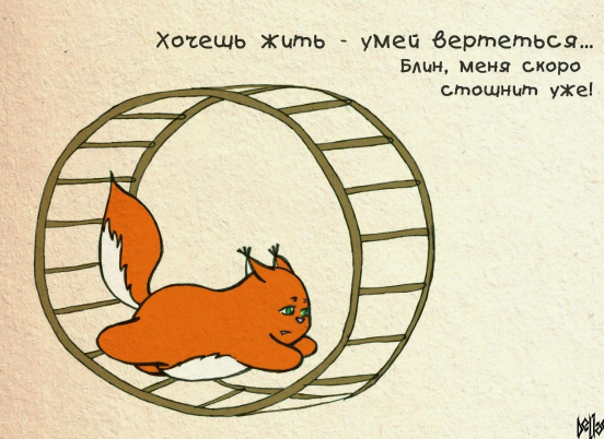 Ссылка на чудесную белку: https://vk.com/kroshka_shi