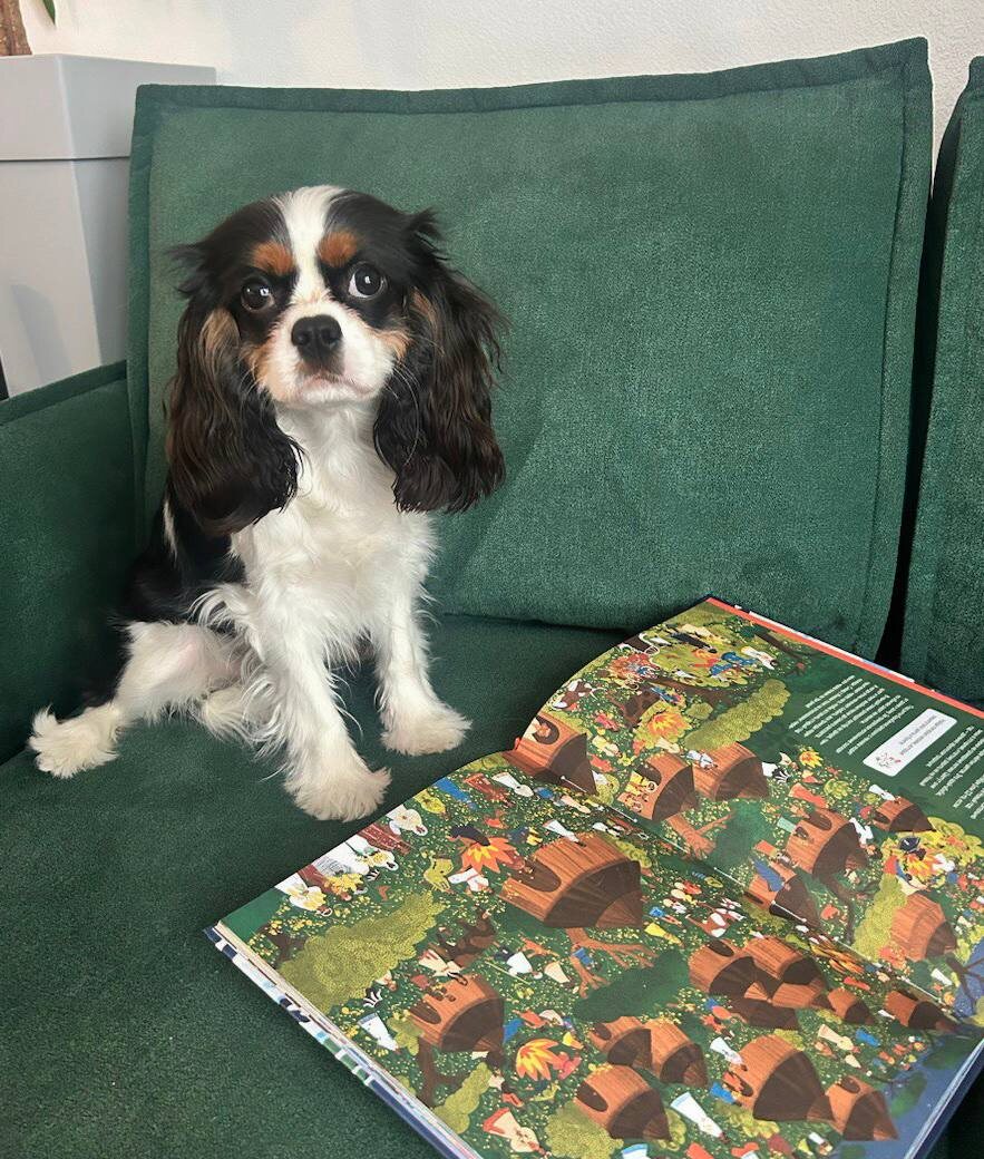 Учённая собачка Элли