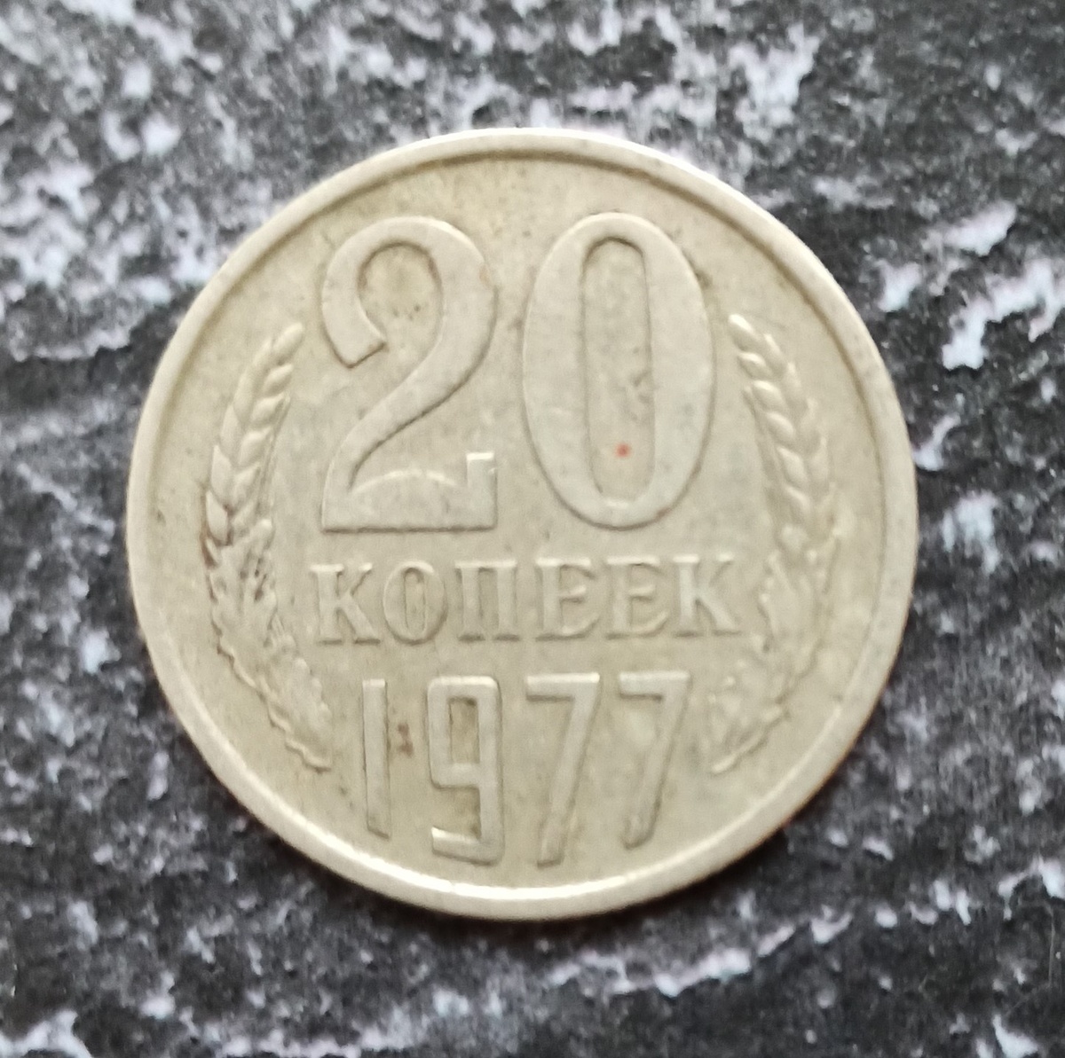 Реверс монеты 20 копеек 1977 года (фото автора)