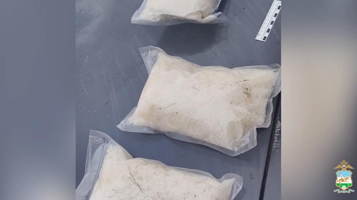    Фото: t.me/mediamvd