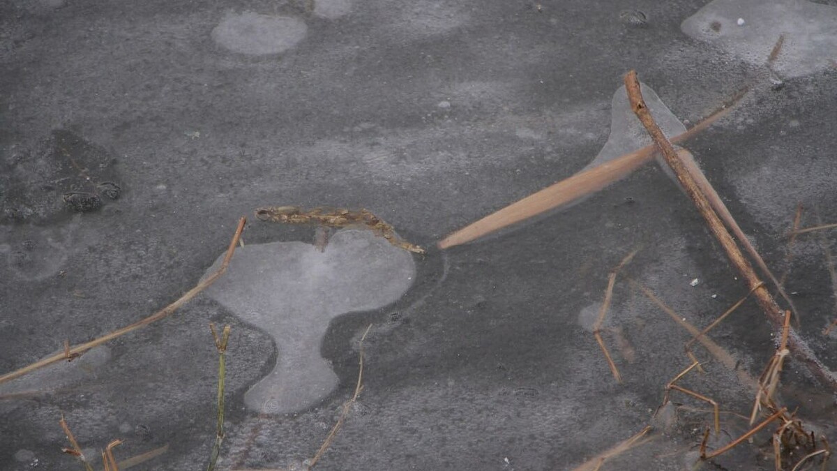    Фото: телеканал «Краснодар»