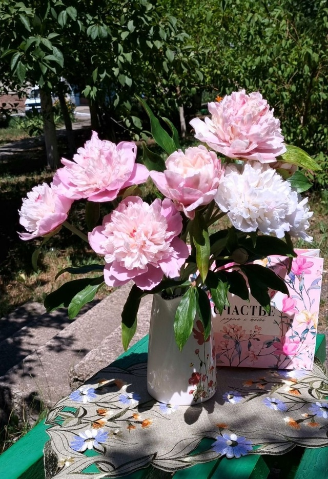 мастер Екатерина Плотникова