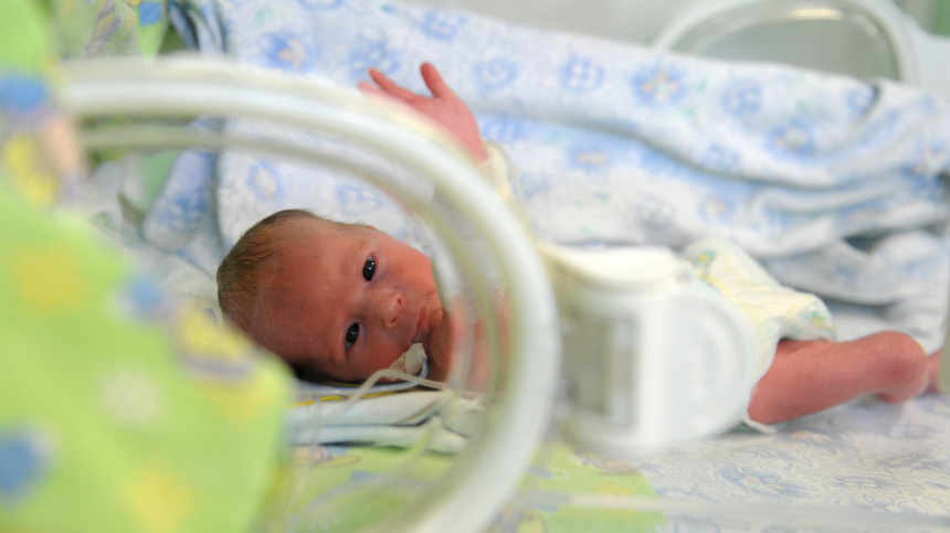    Фото: © РИА Новости/Павел Лисицын; 5-tv.ru