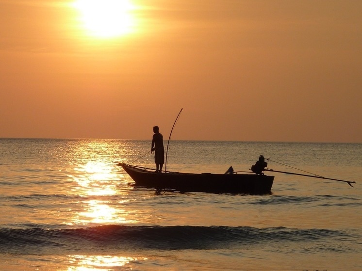     Фото: pxhere.com