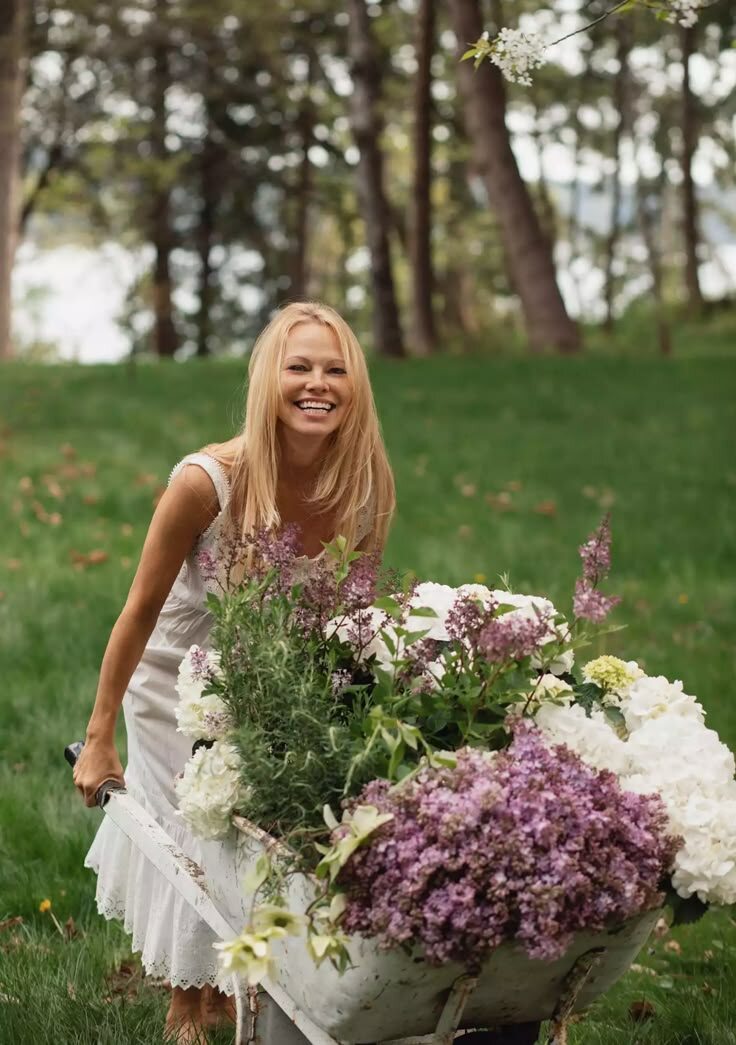 фото из яндекса