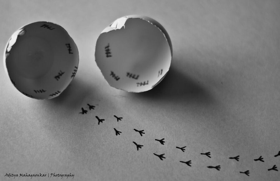    Фото Aditya Mahagaonkar