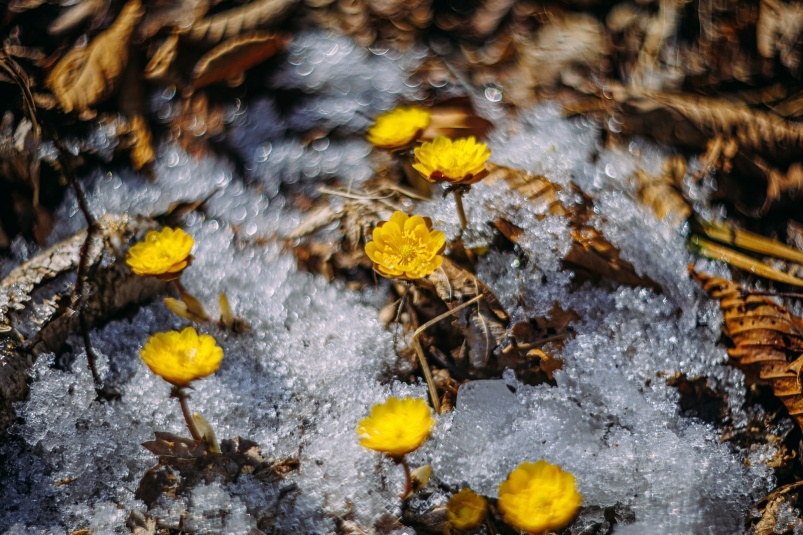    Фото: primamedia.ru Георгий