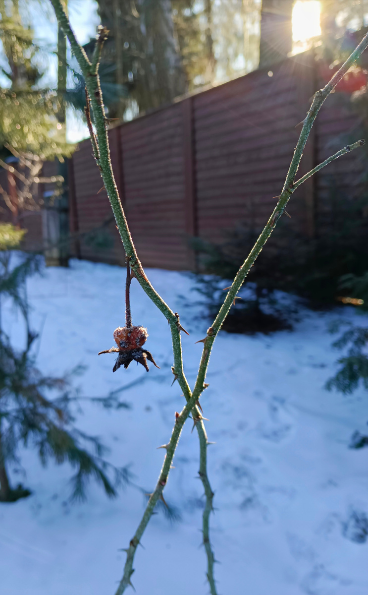 Фото из личного фотоархива