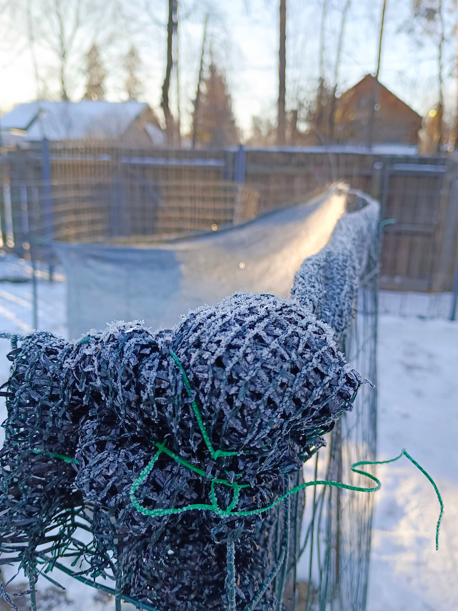 Поймали солнышко в сеть, вернее в притеняющую сетку) Фото из личного фотоархива