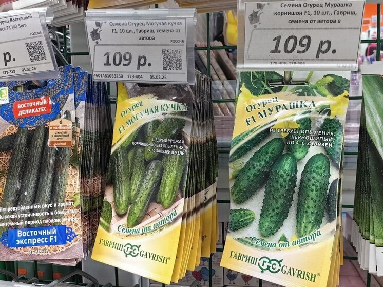     семена огурцов в хабаровске - что продают / Ольга Григорьева