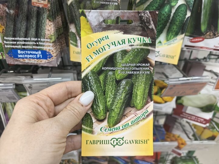   Ольга Григорьева