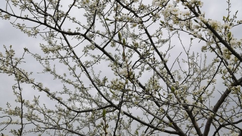     Источник: vostokmedia.com