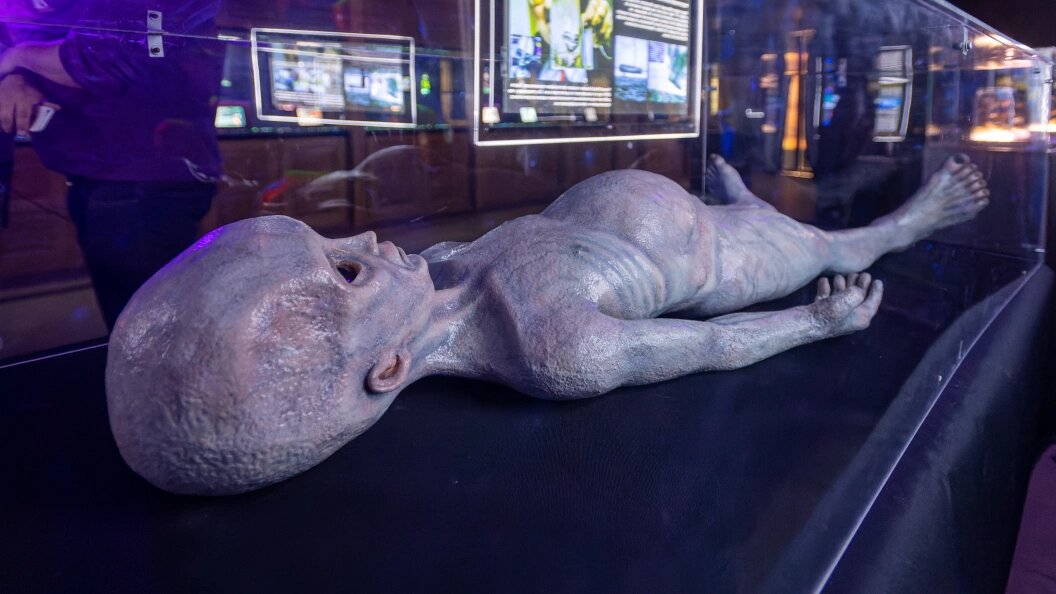    Komsomolskaya Pravda/Global Look Press/Globallookpress