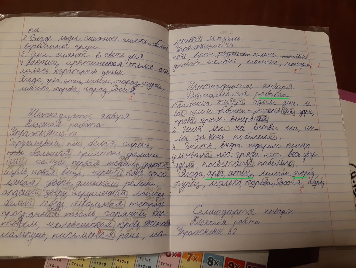 Фото тетради отличницы