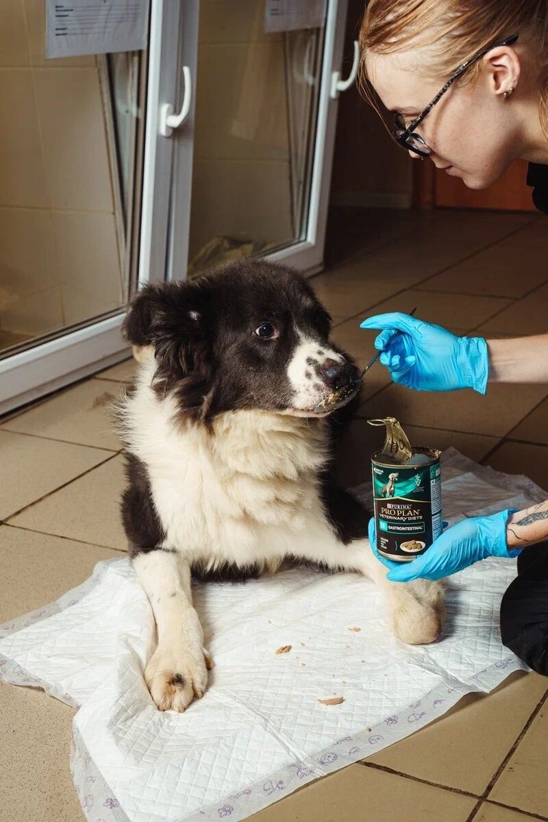 Мы не справляемся, ЛЮДИ! Стационары переполнены 