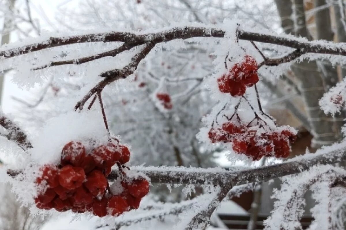    О запретах в день Алексея Рыбного напомнили жителям Новосибирска