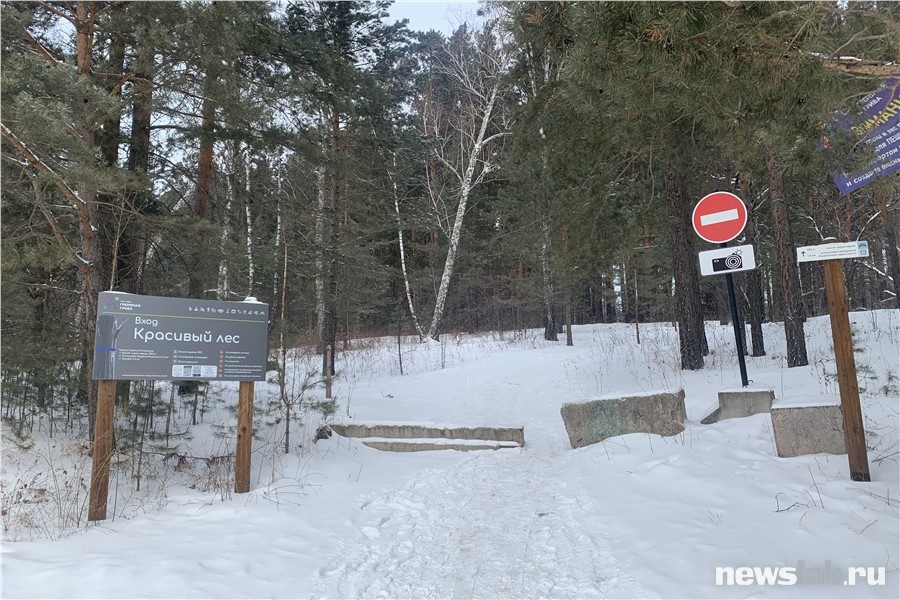 Этот вход обозначен как «Красивый лес»