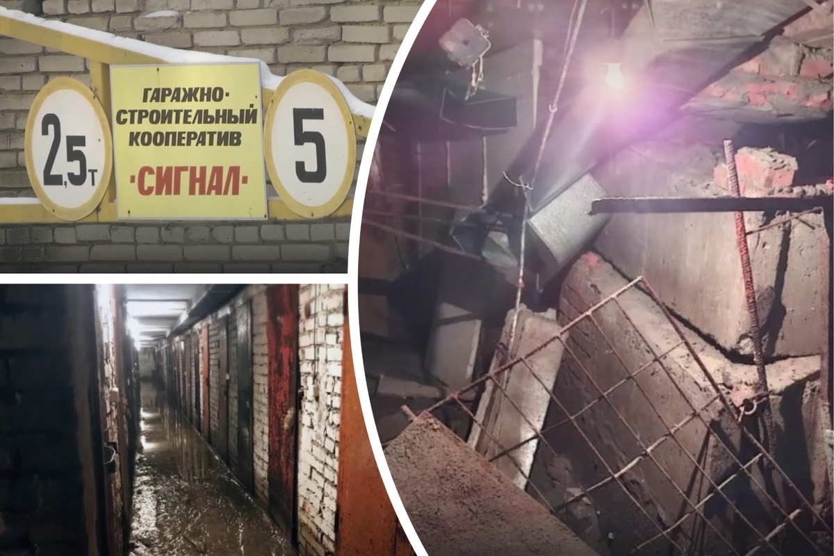 Фото: коллаж Прецедент