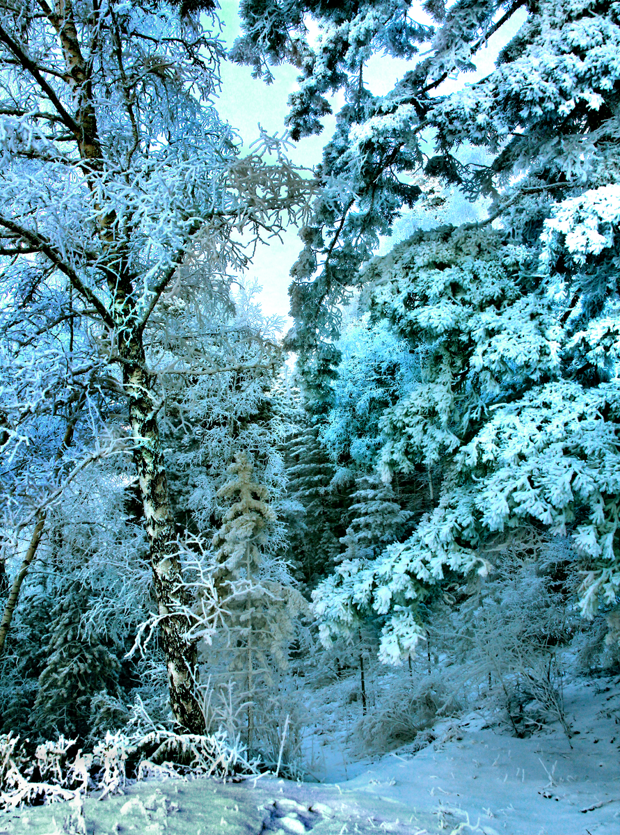 Фотография, стихотворение Василия Глуцкого