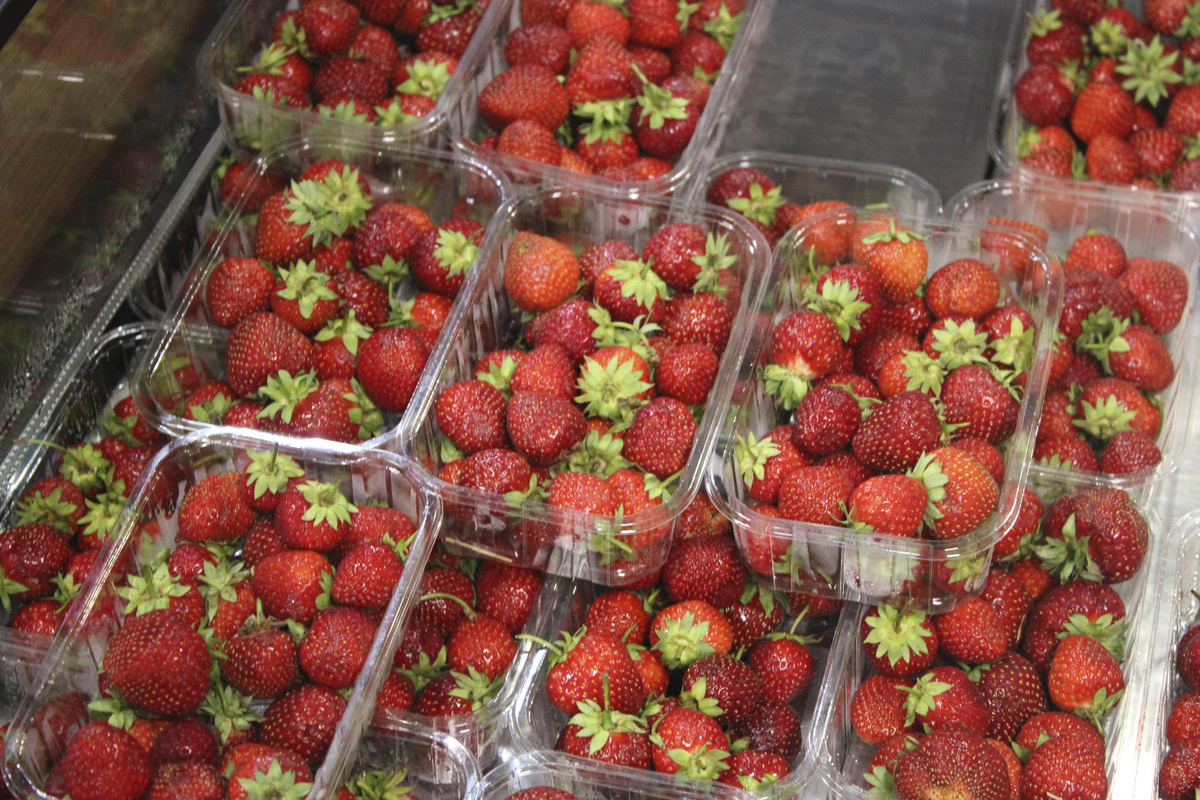 Ягоды оказались с плесенью.  Фото: Фото: ФедералПресс / Ксения Кобалия