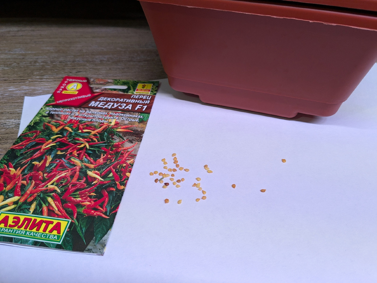 Это, на секундочку, содержимое четырех пакетиков "Медузы", Карл!