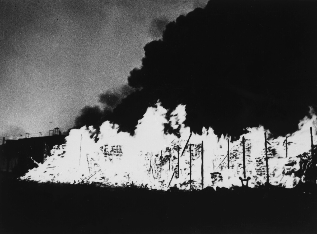 Фото: ТАСС/Федосеев Василий