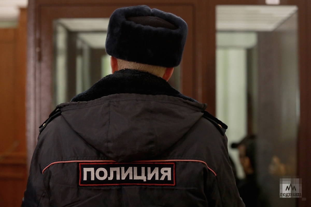    Полиция / Источник: Дарья Драй © ИА REGNUM