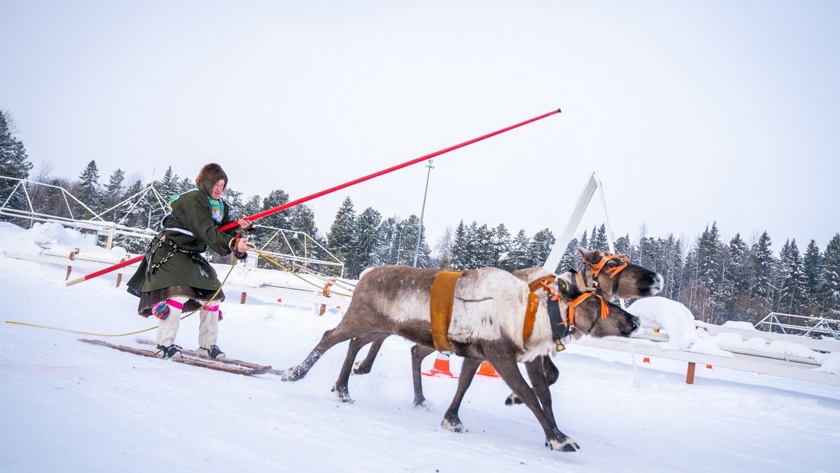    В Югре пройдёт 10 конкурс оленеводов