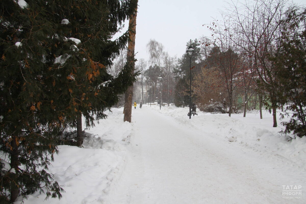 Фото: © «Татар-информ»