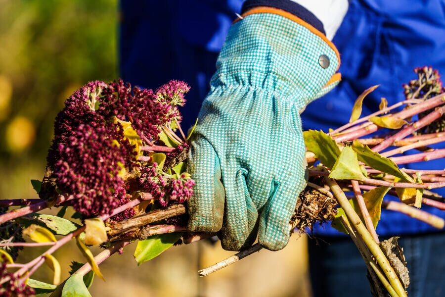     / Источник: © dpa/picture-alliance/ТАСС