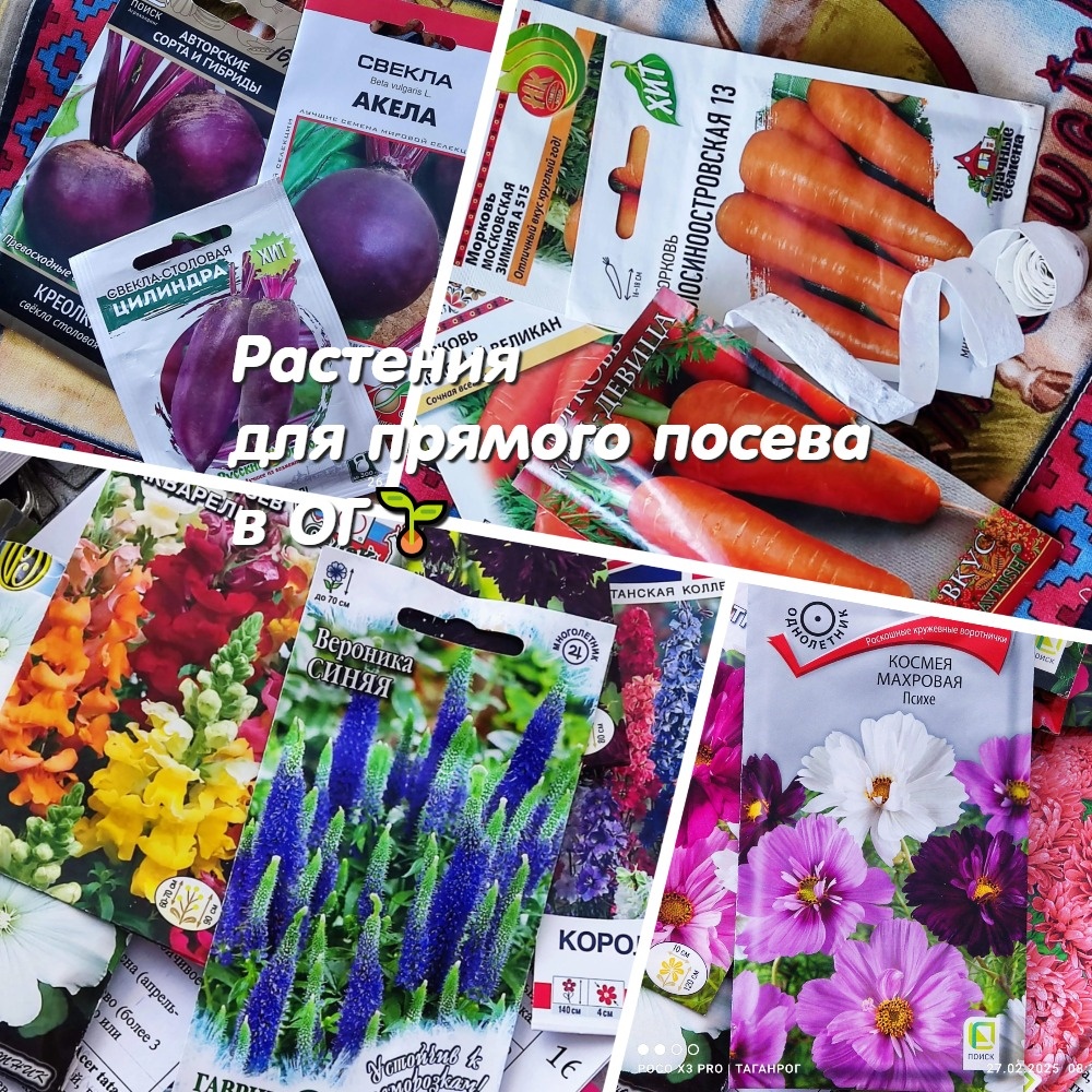 Надо бы остановиться но не могу. Надо бы остановиться но не могу