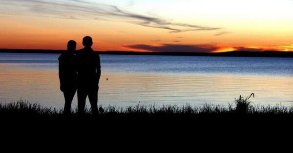 Яндекс картинки