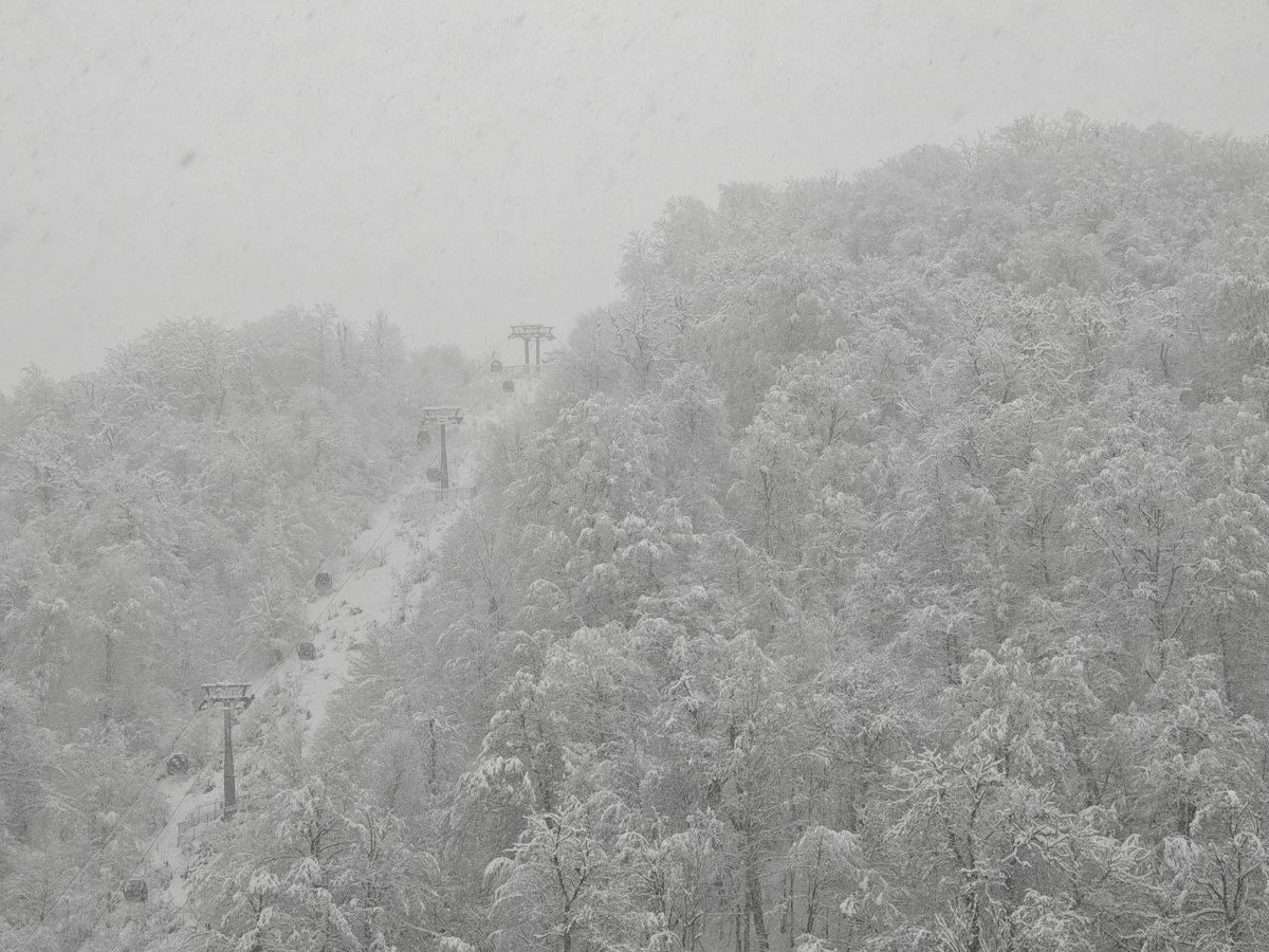    Фото: Юрий Серебренников/BFM Кубань