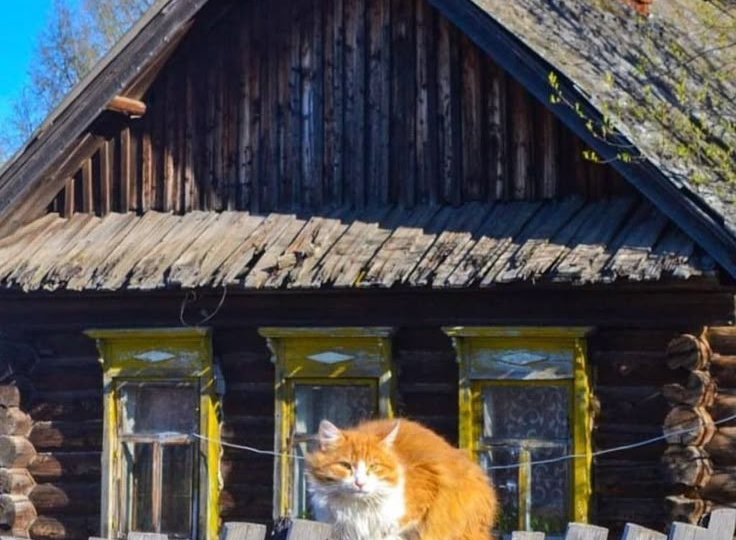 Ностальгия по родным местам: 10 фото русских домиков, которые греют душу